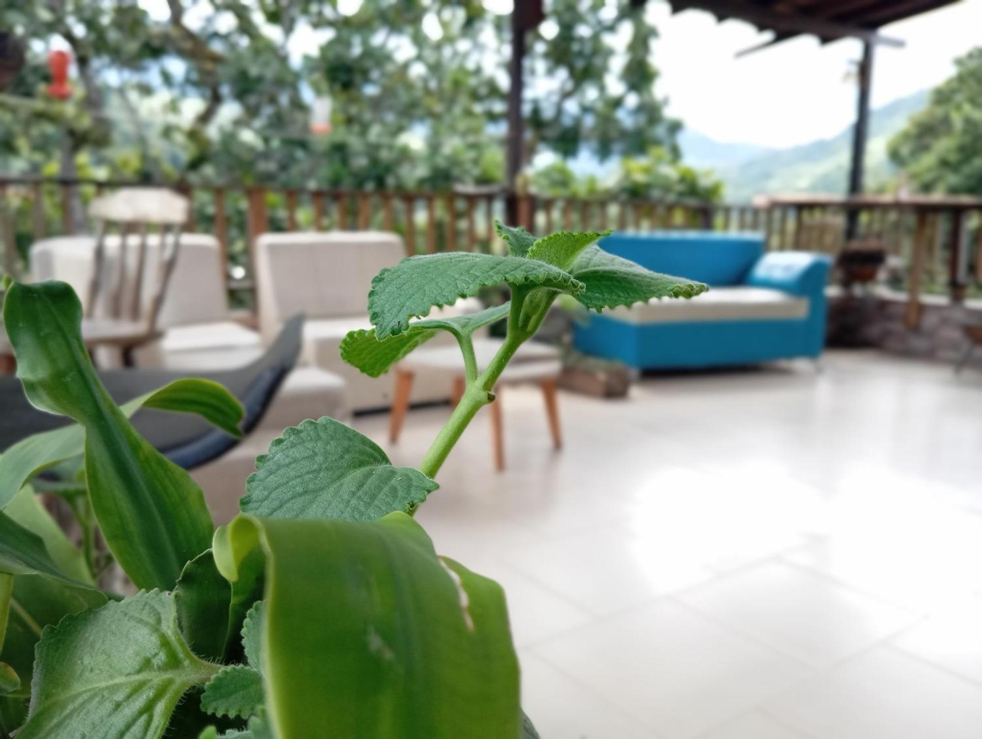 Hostal Los Wichos Minca Eksteriør bilde